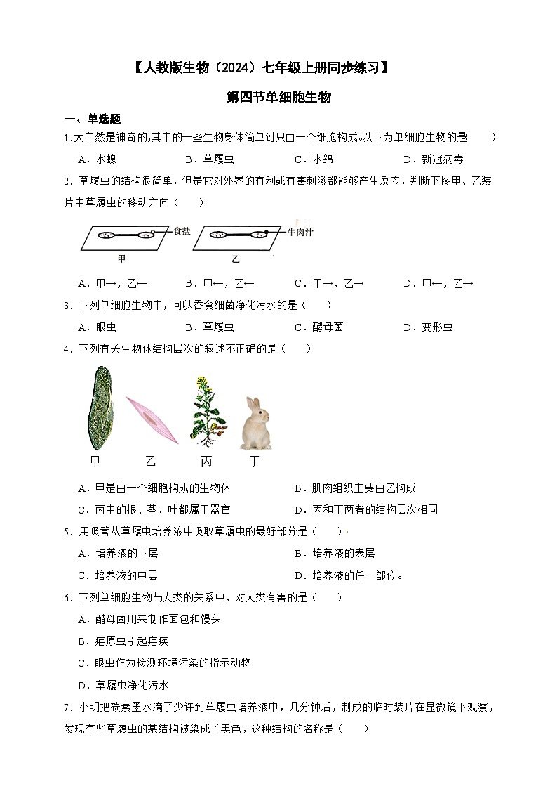 2024-2025学年人教版生物七年级上册 1.3.4 单细胞生物(含答案)作业第1页