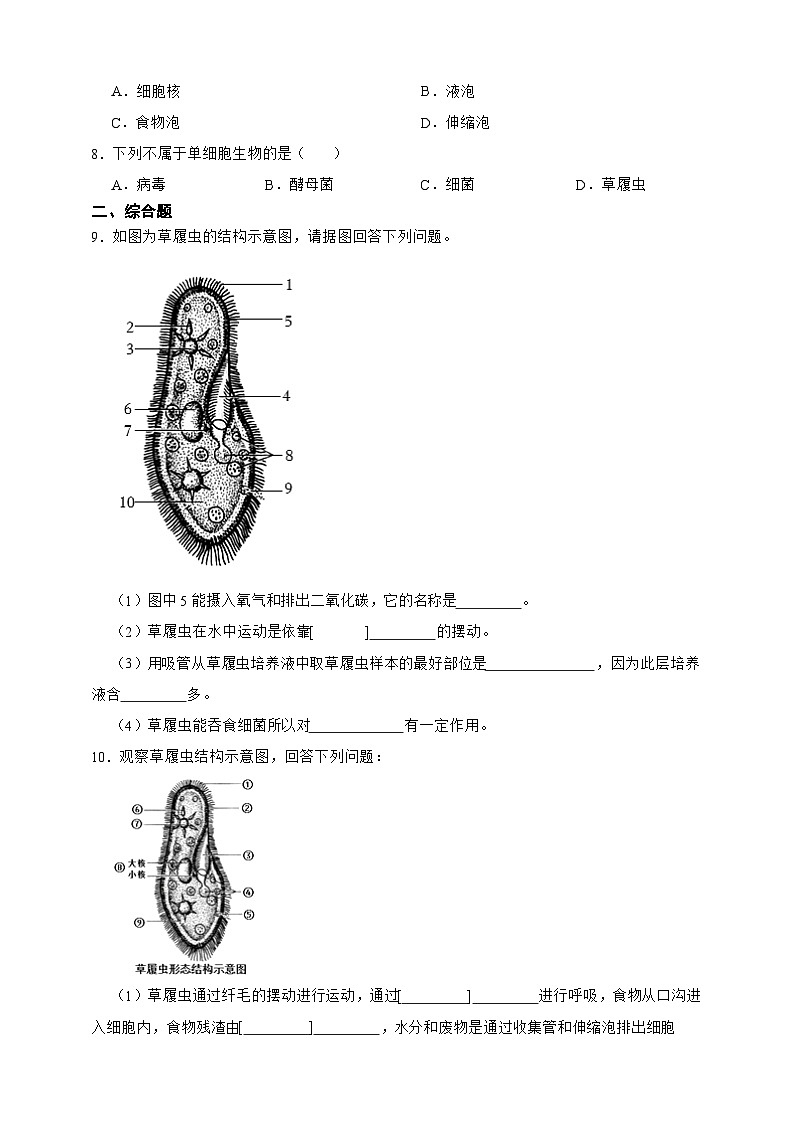 2024-2025学年人教版生物七年级上册 1.3.4 单细胞生物(含答案)作业第2页