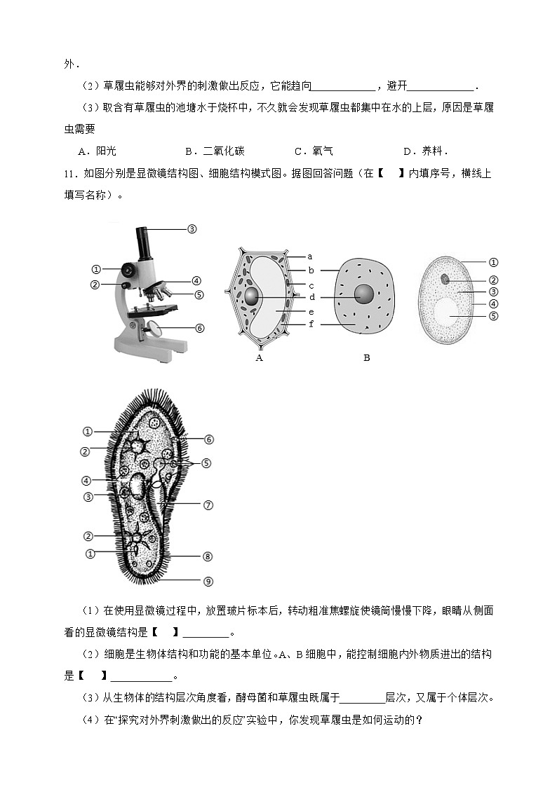 2024-2025学年人教版生物七年级上册 1.3.4 单细胞生物(含答案)作业第3页