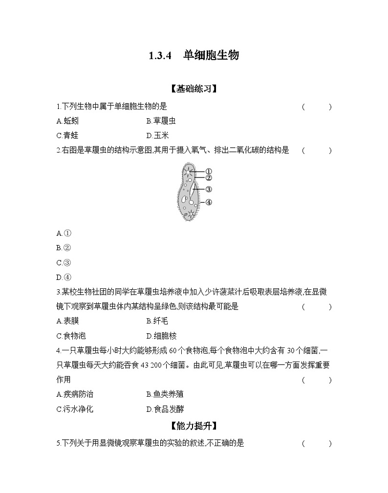 2024-2025学年人教版生物七年级上册 1.3.4 单细胞生物  作业第1页