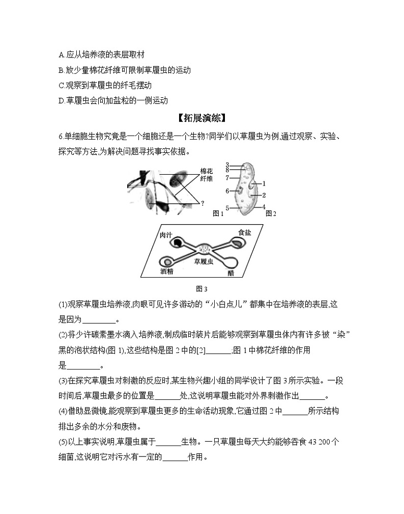 2024-2025学年人教版生物七年级上册 1.3.4 单细胞生物  作业第2页