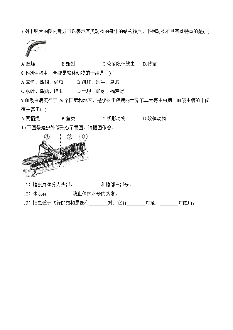 2024-2025学年人教版生物七年级上册 2.2.1 无脊椎动物——生物人教版 七年级上册随堂小练(含解析)第2页