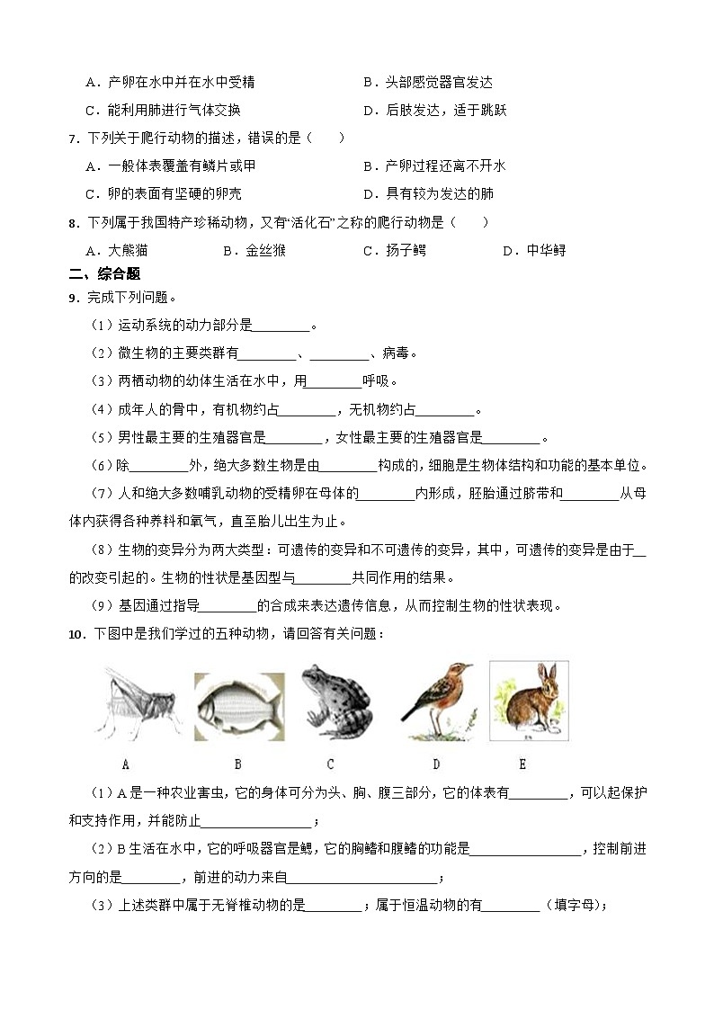 2024-2025学年人教版生物七年级上册 2.2.2 脊椎动物-两栖动物和爬行动物 练习第2页