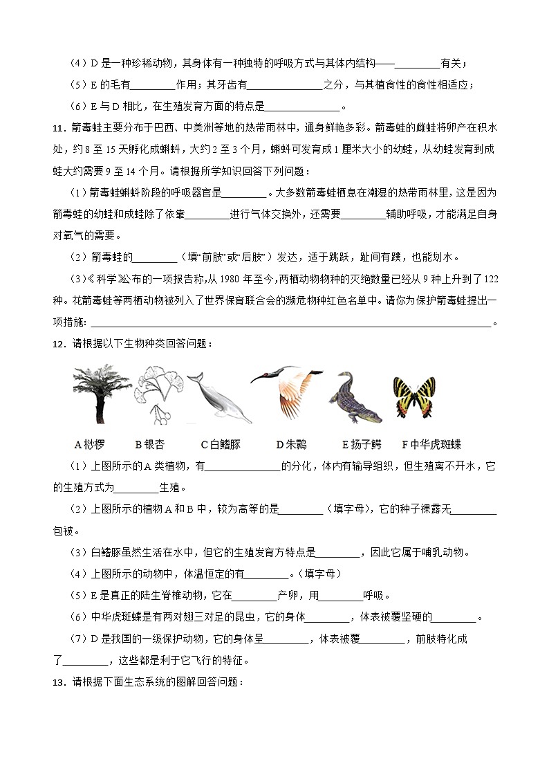 2024-2025学年人教版生物七年级上册 2.2.2 脊椎动物-两栖动物和爬行动物 练习第3页