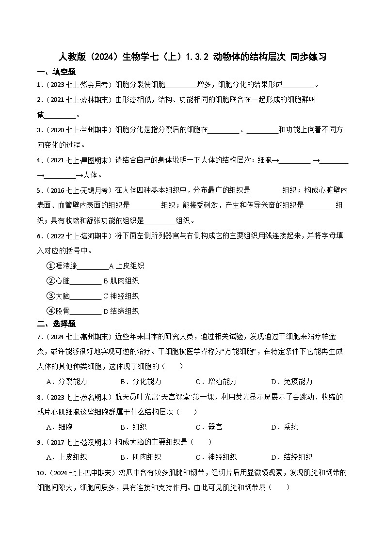 2024-2025学年人教版生物七年级上册 生物学七(上)1.3.2 动物体的结构层次 同步练习(学生版)第1页