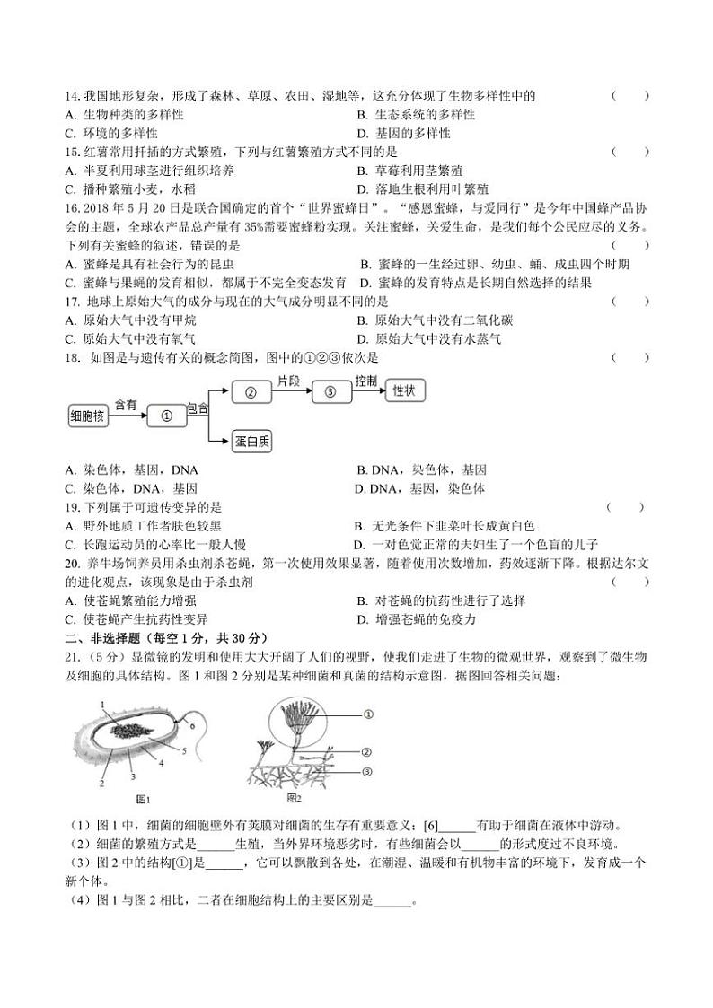 2024~2025学年吉林省长春市赫行教育集团八年级(上)期中教学质量监测生物试卷(含答案)第2页