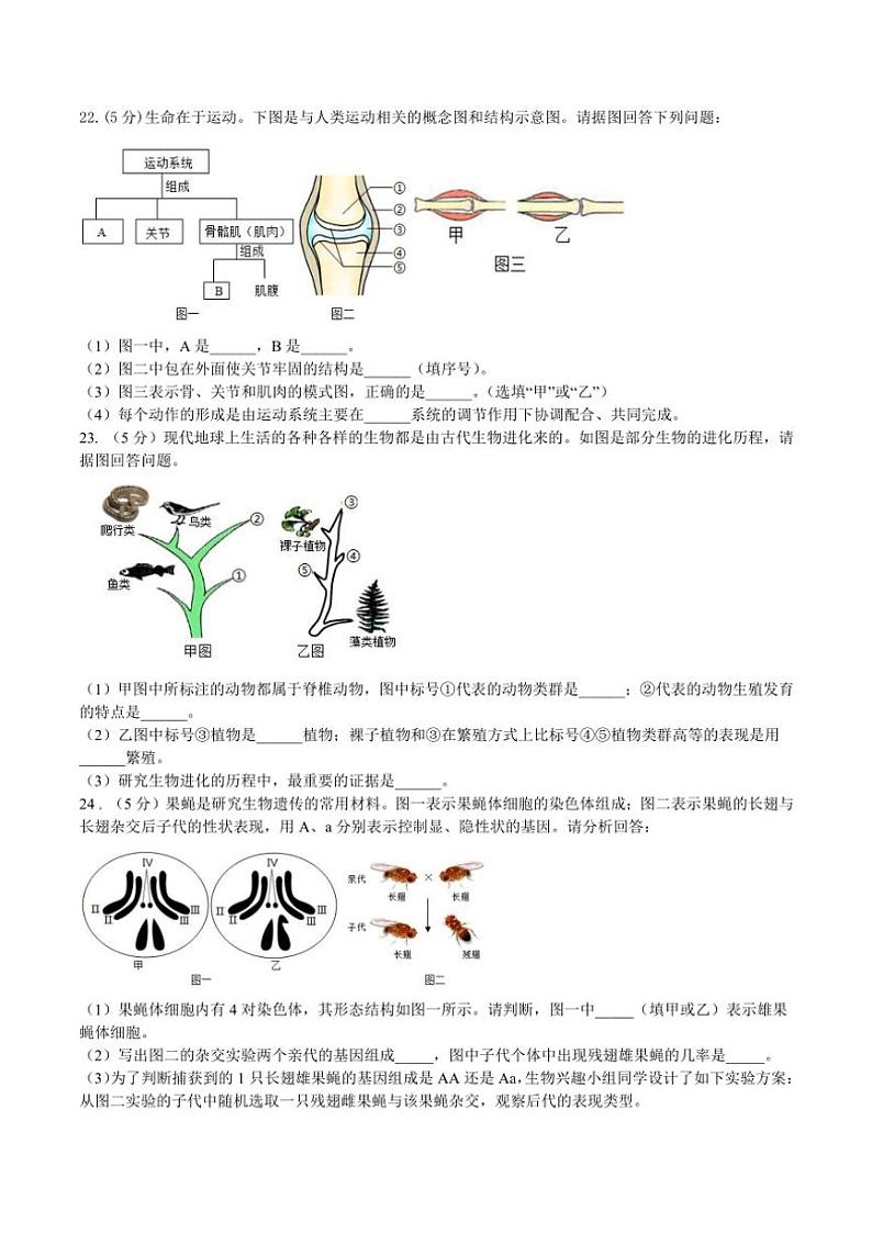 2024~2025学年吉林省长春市赫行教育集团八年级(上)期中教学质量监测生物试卷(含答案)第3页