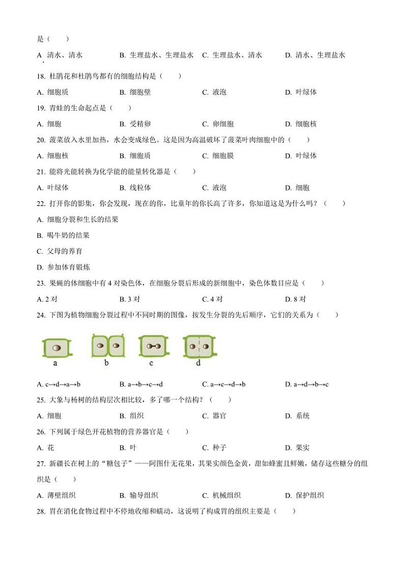2024~2025学年新疆克孜勒苏柯尔克孜自治州七年级(上)期中生物试卷(含答案)第3页