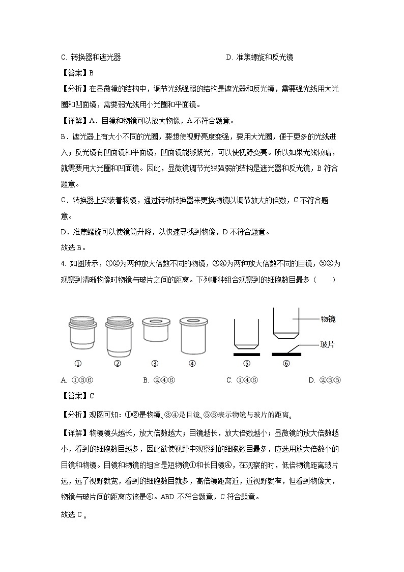 2024-2025学年辽宁省鞍山市高新区七年级(上)期中生物试卷(解析版)第2页