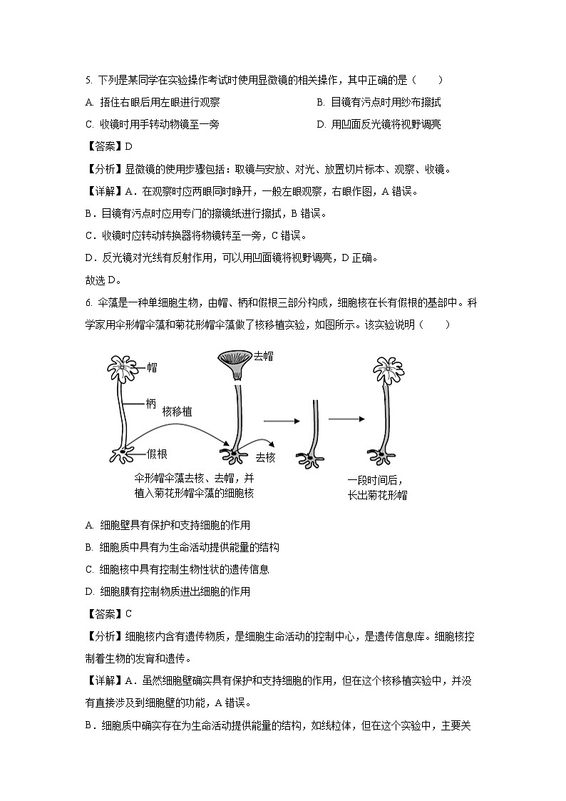 2024-2025学年辽宁省鞍山市高新区七年级(上)期中生物试卷(解析版)第3页