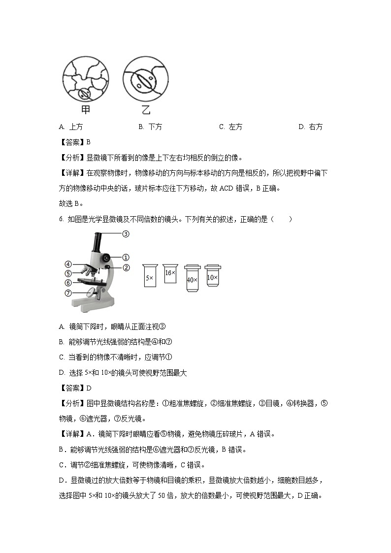 2024-2025学年辽宁省黑山县七年级(上)第一次月考生物试卷(解析版)第3页