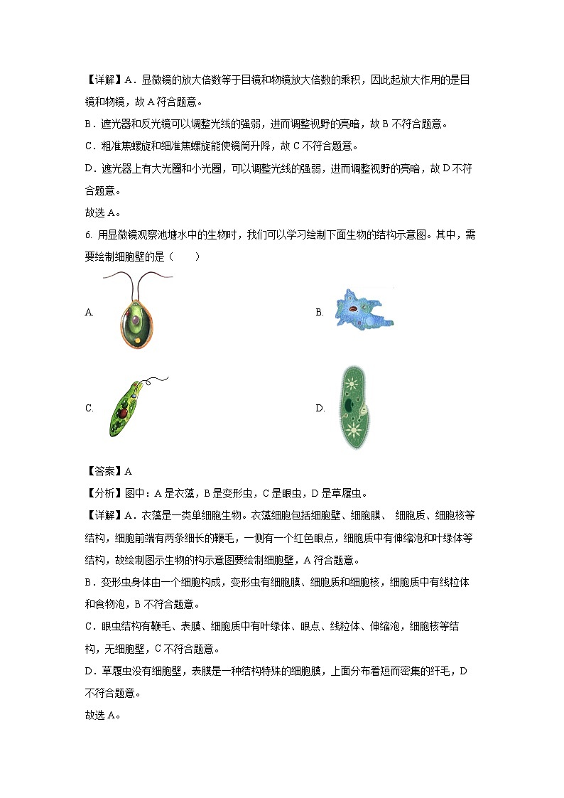 2024-2025学年辽宁省鞍山市高新区七年级(上)11月月考生物试卷(解析版)第3页