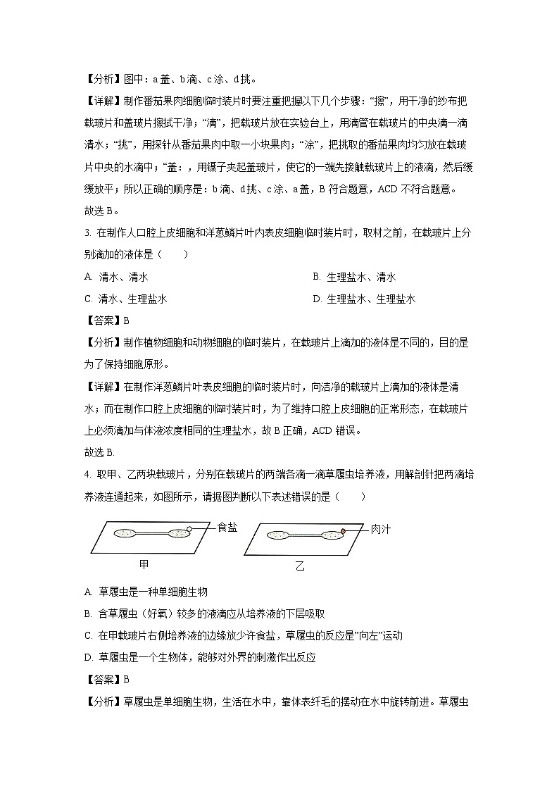 2024-2025学年河北省唐山市迁安市七年级(上)期中生物试卷(解析版)第2页