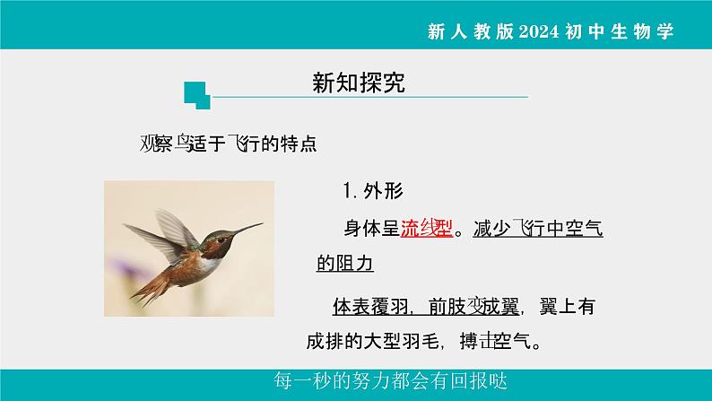 人教版生物七年级上册2.2.2《脊椎动物》课件第2课时课件第3页