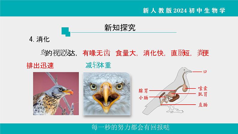 人教版生物七年级上册2.2.2《脊椎动物》课件第2课时课件第7页