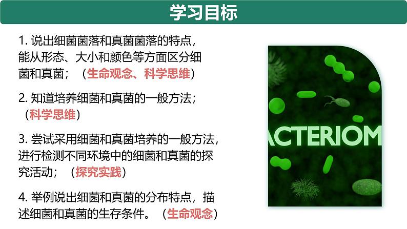 人教版生物七年级上册2.3.1《微生物的分布》(课件)第3页