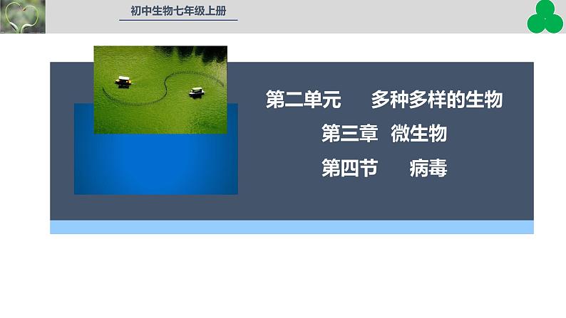 人教版生物七年级上册2.3.4《病毒》(教学课件)第1页
