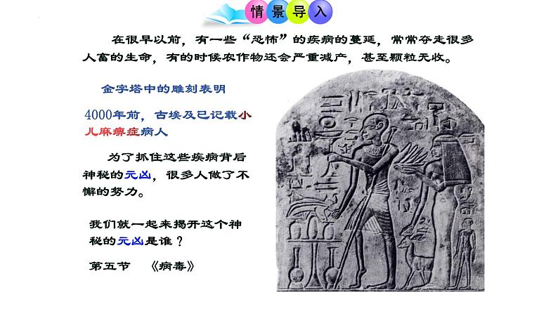 人教版生物七年级上册2.3.4《病毒》(教学课件)第3页