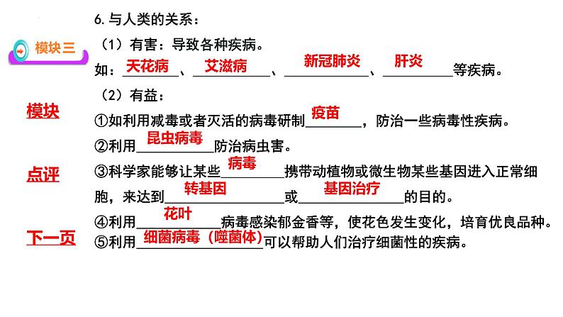 人教版生物七年级上册2.3.4《病毒》(教学课件)第8页