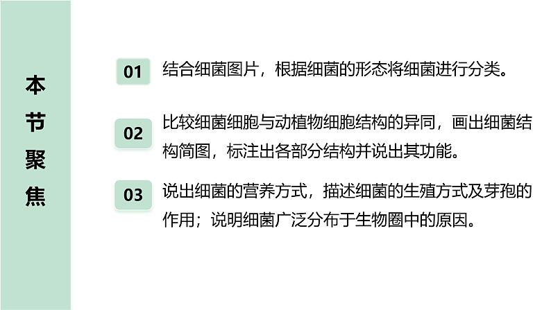人教版生物七年级上学期2.3.2《细菌》(教学课件)第2页