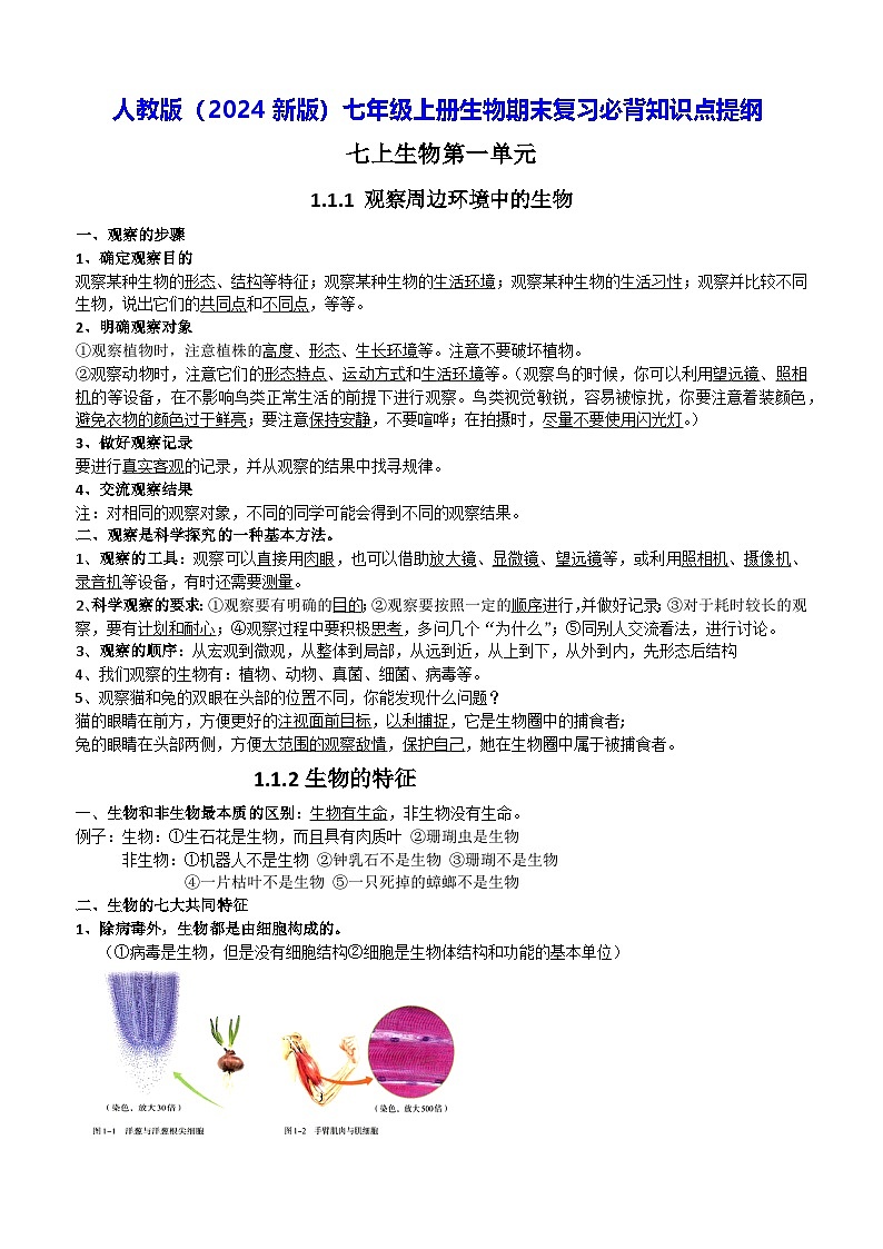 人教版(2024新版)七年级上册生物期末复习知识点提纲 学案第1页