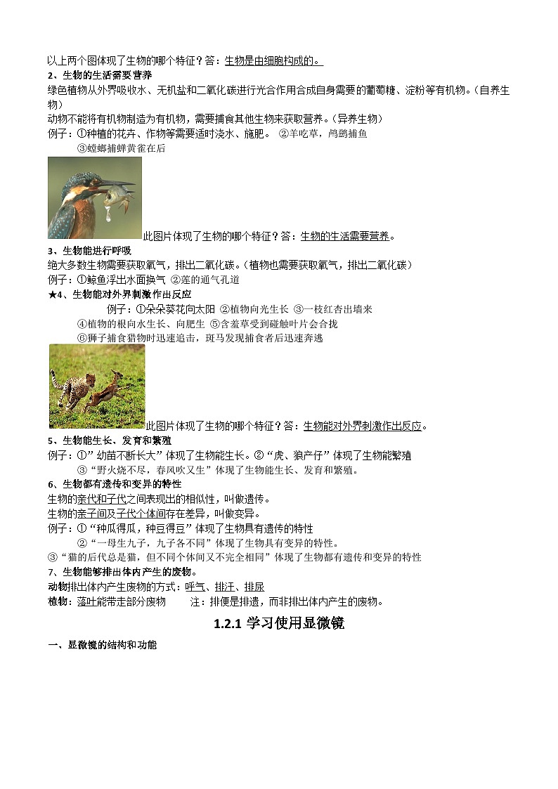 人教版(2024新版)七年级上册生物期末复习知识点提纲 学案第2页