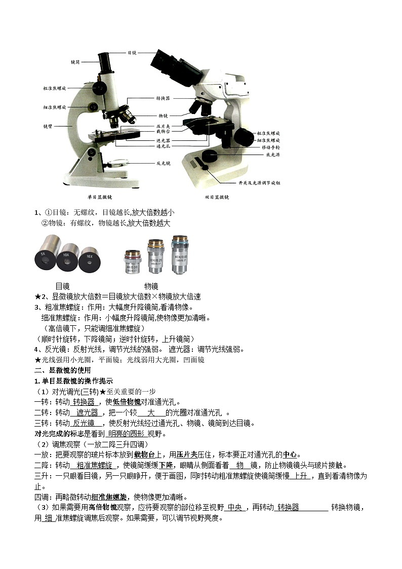 人教版(2024新版)七年级上册生物期末复习知识点提纲 学案第3页