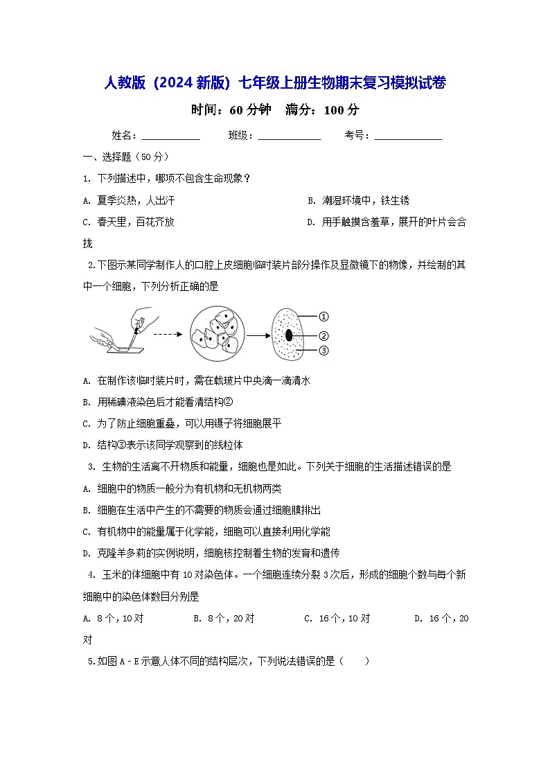 人教版(2024新版)七年级上册生物期末复习模拟试卷(含答案解析)第1页