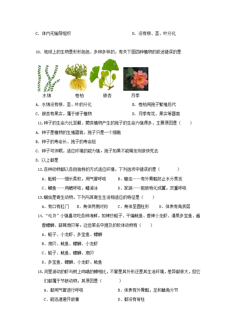 人教版(2024新版)七年级上册生物期末复习模拟试卷(含答案解析)第3页