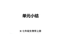 初中生物新人教版七年级上册第一单元 生物和细胞小结教学课件2024秋