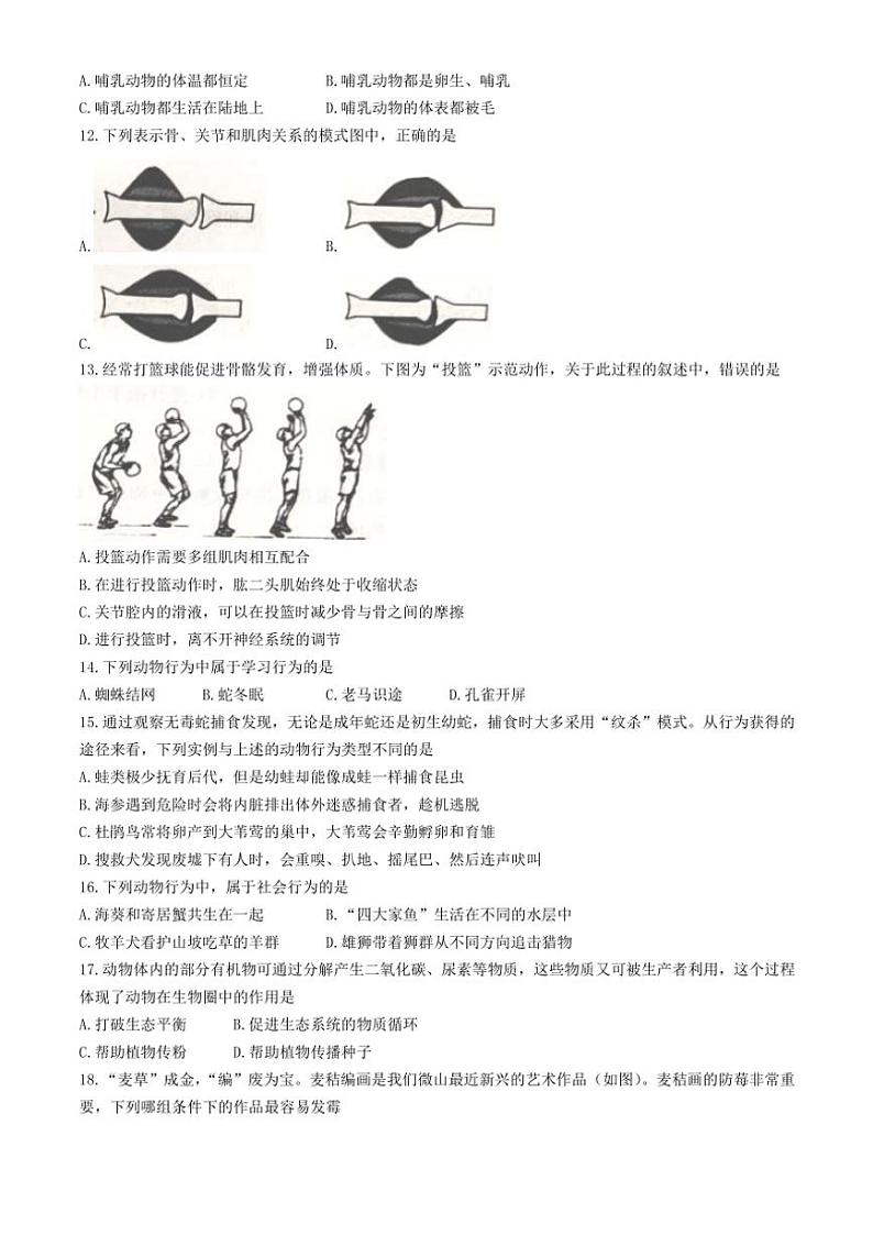2024~2025学年安徽省蚌埠市五河县联考七年级(上)期中生物试卷(含答案)第2页