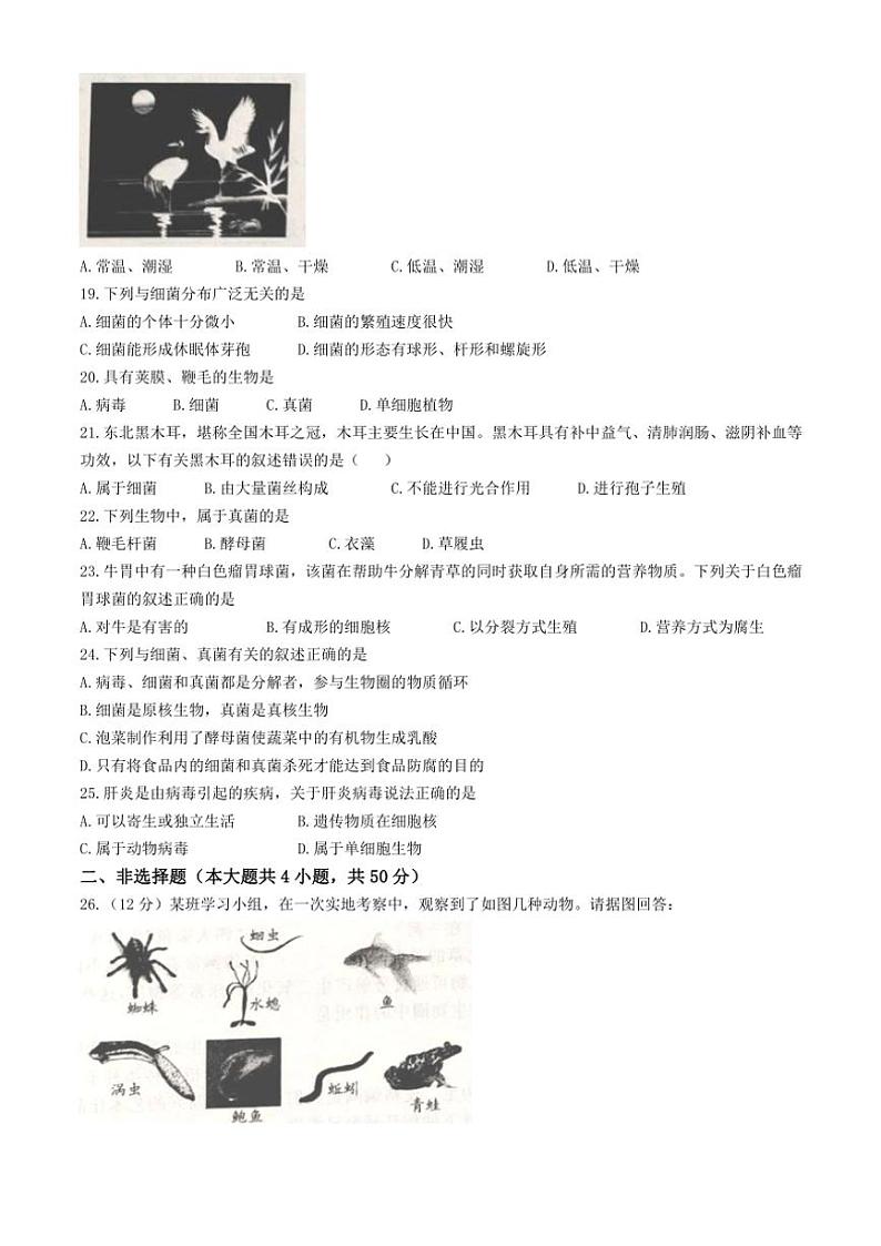 2024~2025学年安徽省蚌埠市五河县联考七年级(上)期中生物试卷(含答案)第3页