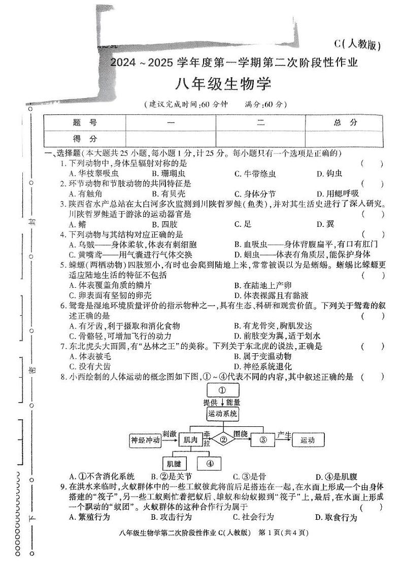 陕西省榆林市子洲县周家硷中学2024-2025学年八年级上学期12月月考生物试题第1页