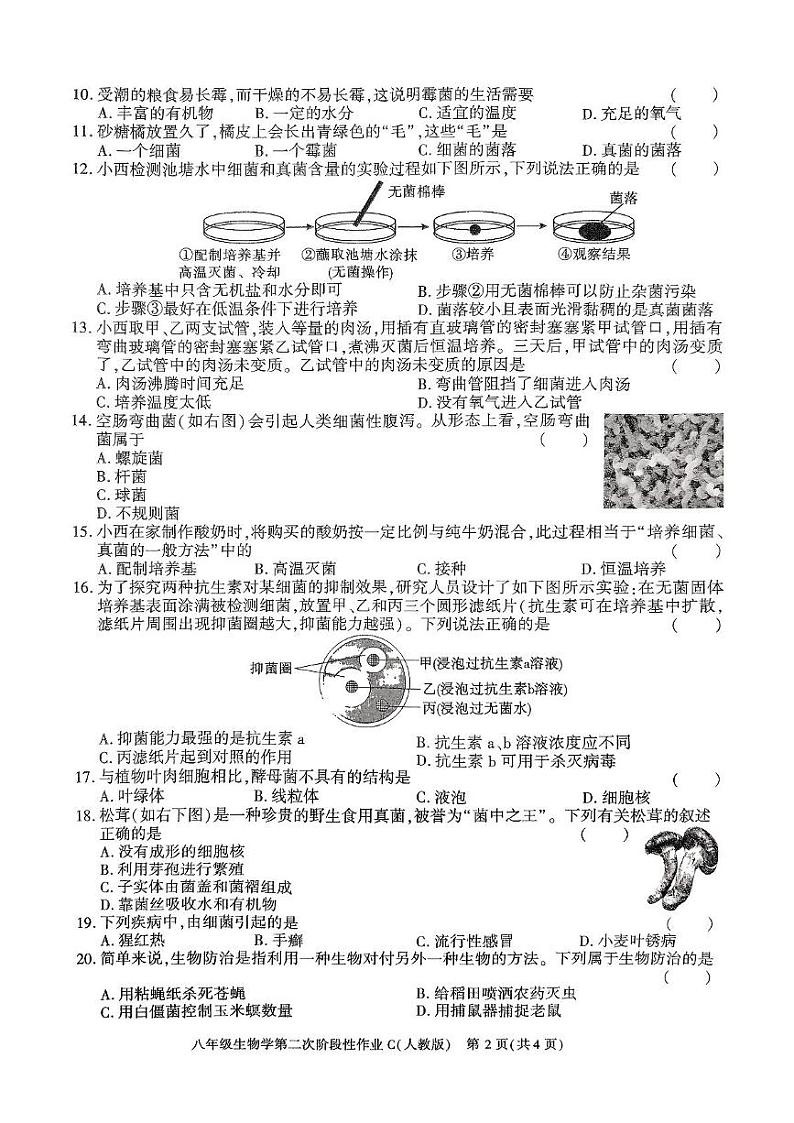 陕西省榆林市子洲县周家硷中学2024-2025学年八年级上学期12月月考生物试题第2页