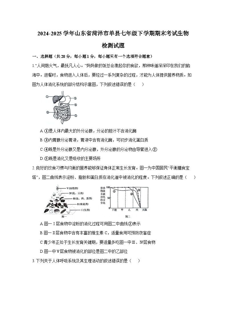 2024-2025学年山东省菏泽市单县七年级下学期期末考试生物检测试题（含答案）