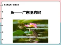 2.2.2脊椎动物-鱼课件2024-2025学年人教版生物七年级上册