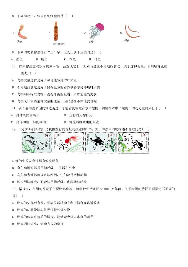 2024~2025学年吉林省长春市第八十七中学七年级(上)12月月考生物试卷(无答案)第2页