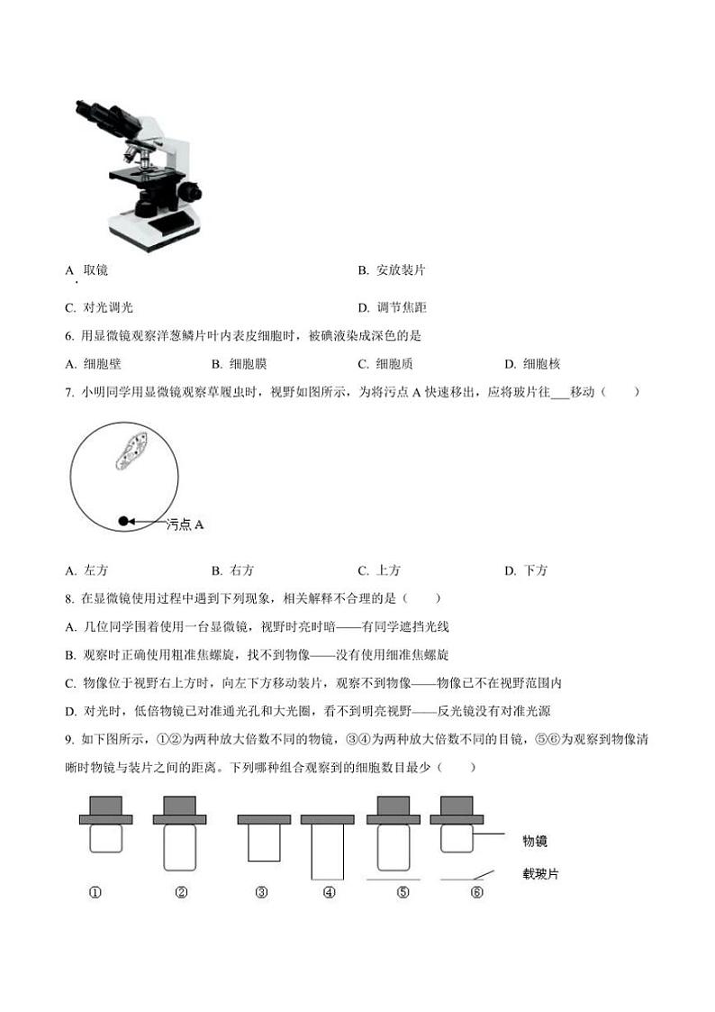 2024~2025学年山西省实验中学七年级(上)期中生物试卷(含答案)第2页