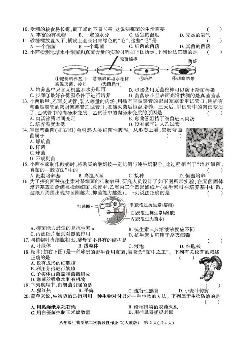 2024~2025学年陕西省榆林市子洲县周家硷中学八年级(上)12月月考生物试卷(含答案)第2页
