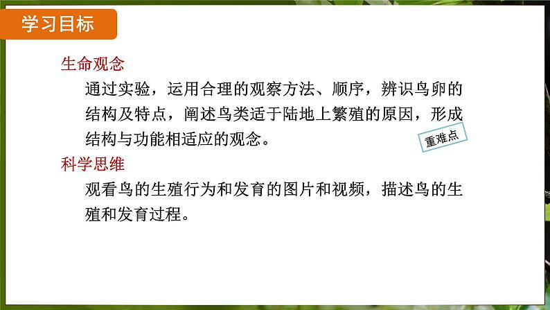 7.1.4 鸟的生殖和发育( 课件)-2024-2025学年人教版生物八年级下册第2页
