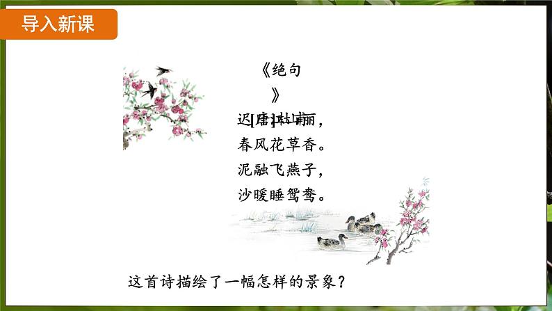 7.1.4 鸟的生殖和发育( 课件)-2024-2025学年人教版生物八年级下册第4页