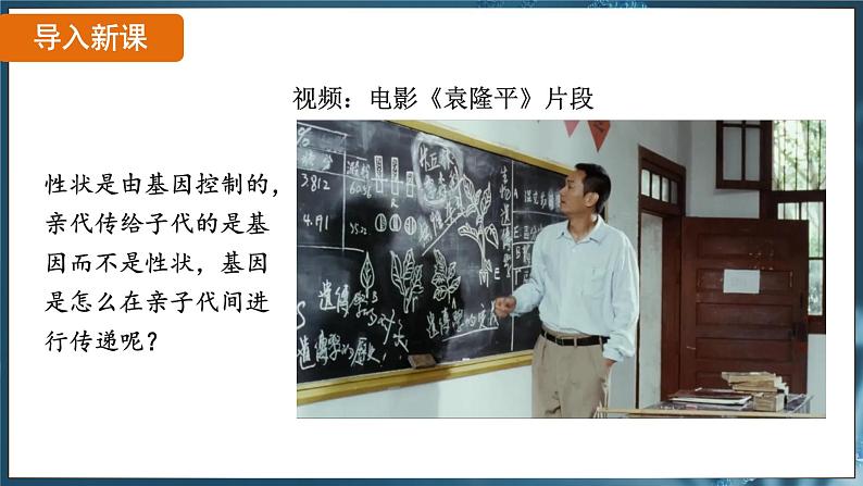 7.2.2 基因在亲子代间的传递( 课件)-2024-2025学年人教版生物八年级下册第3页