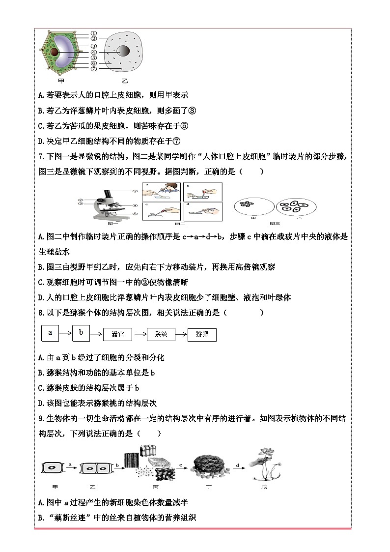 山东省德州市齐河县潘店镇中学2024-2025学年七年级上学期期末复习学业检测生物试卷-A4第2页