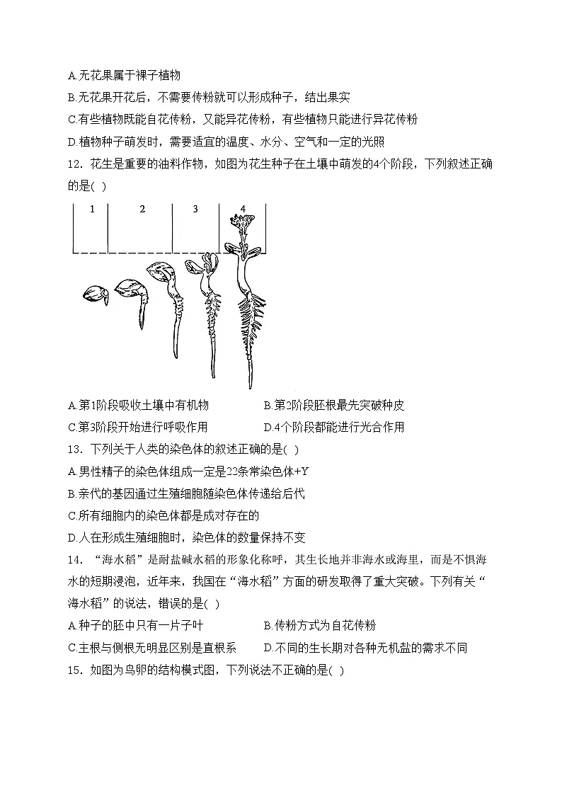 山东省德州市德城区2024-2025学年八年级上学期期中考试生物试卷(含答案)第3页