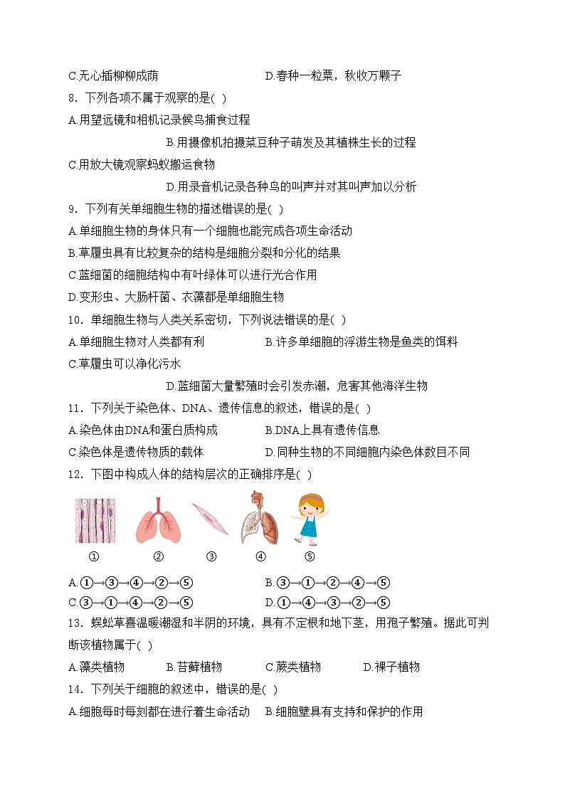 山东省青岛市胶州市2024-2025学年七年级上学期期中考试生物试卷(含答案)第2页