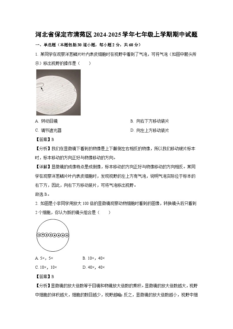 2024-2025学年河北省保定市清苑区七年级(上)期中生物试卷(解析版)第1页