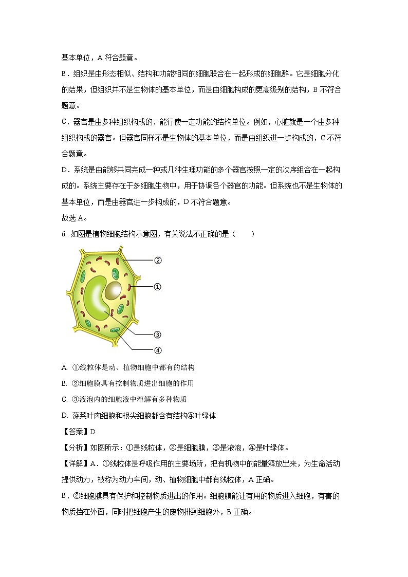 2024-2025学年河北省保定市清苑区七年级(上)期中生物试卷(解析版)第3页