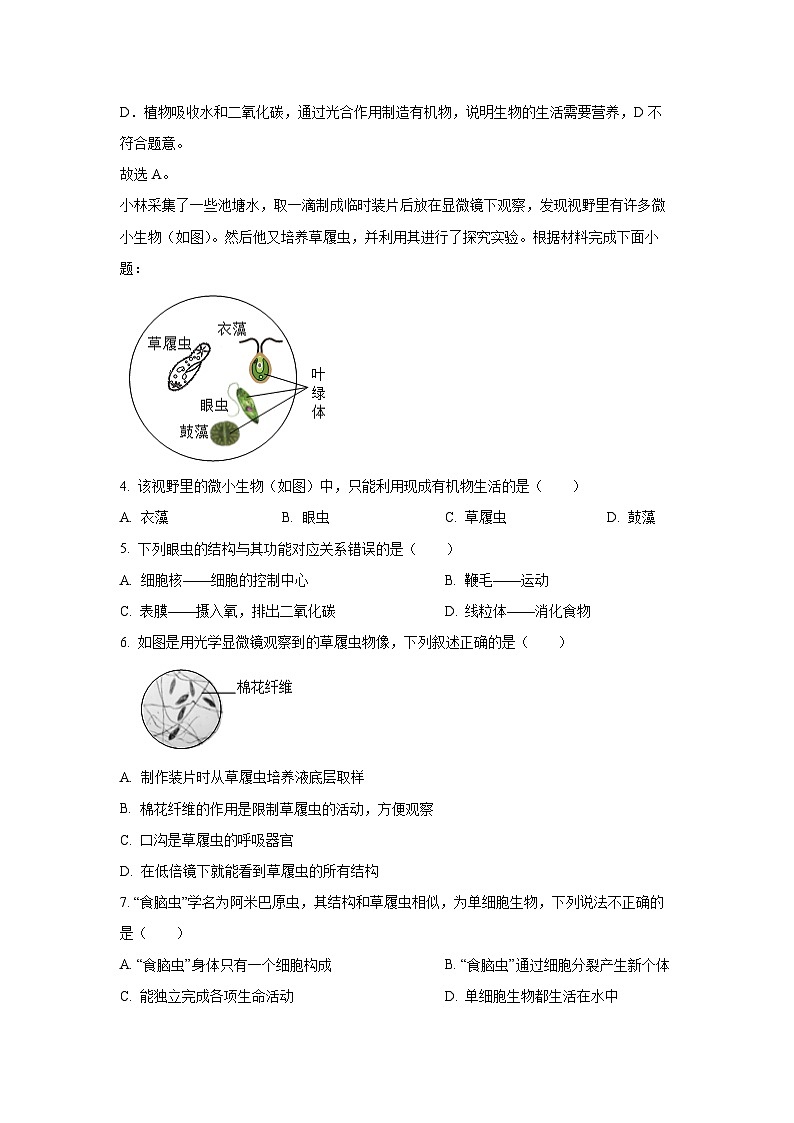 2024-2025学年湖南省邵阳市武冈市七年级(上)期中生物试卷(解析版)第3页