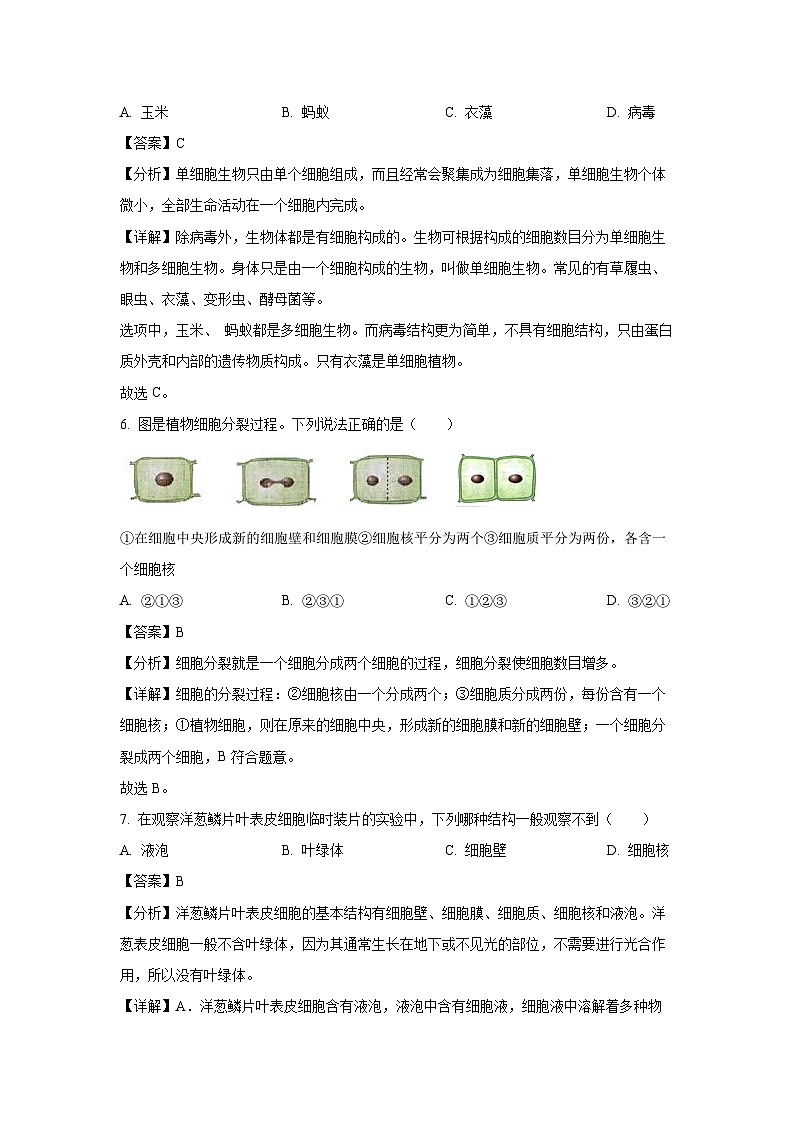 2024-2025学年河北省沧州市泊头市七年级(上)期中生物试卷(解析版)第3页