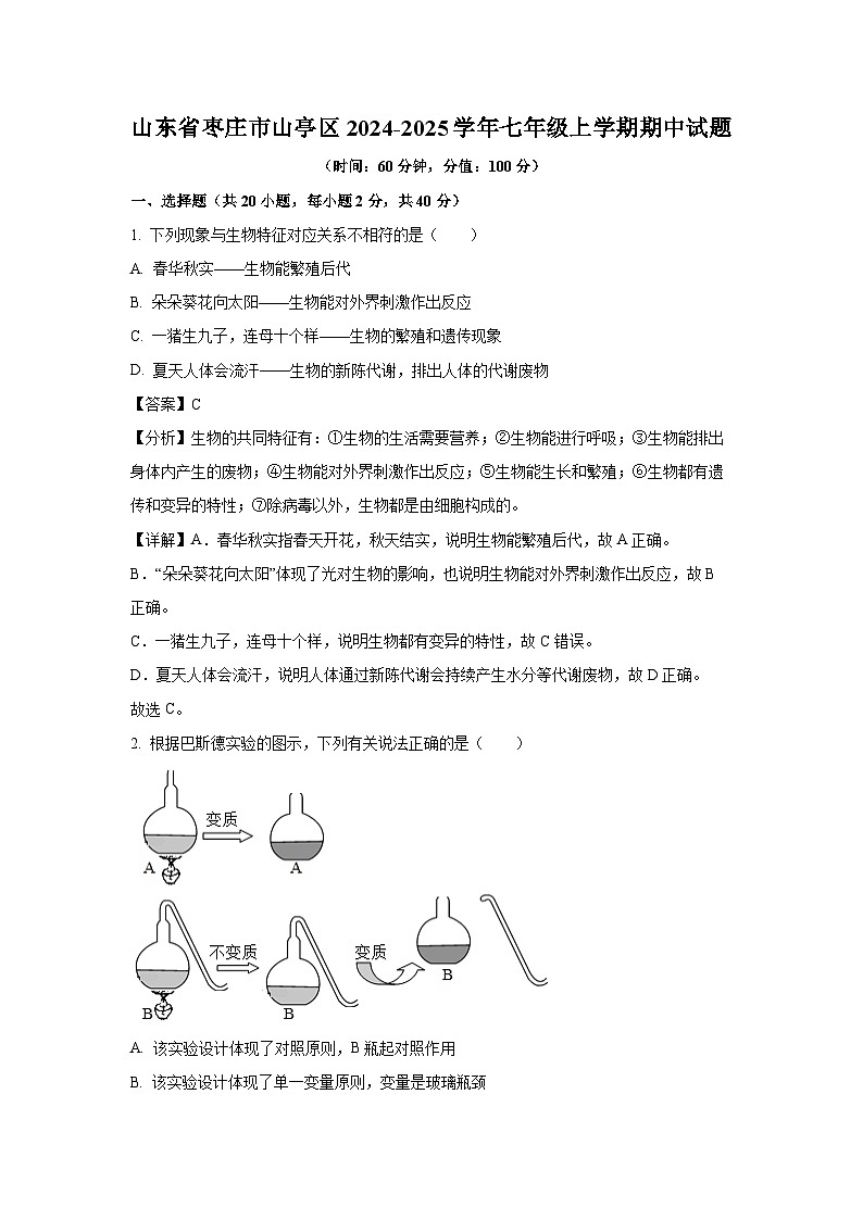 2024-2025学年山东省枣庄市山亭区七年级(上)期中生物试卷(解析版)第1页
